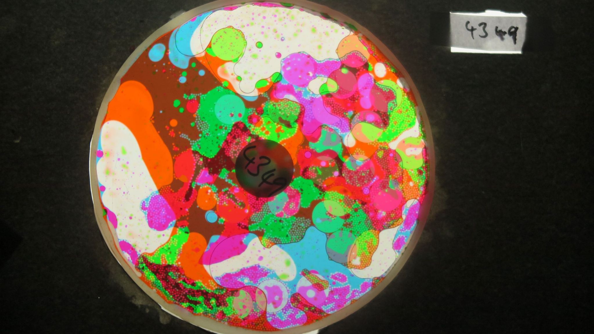 BV4349 bubble vision oil wheel